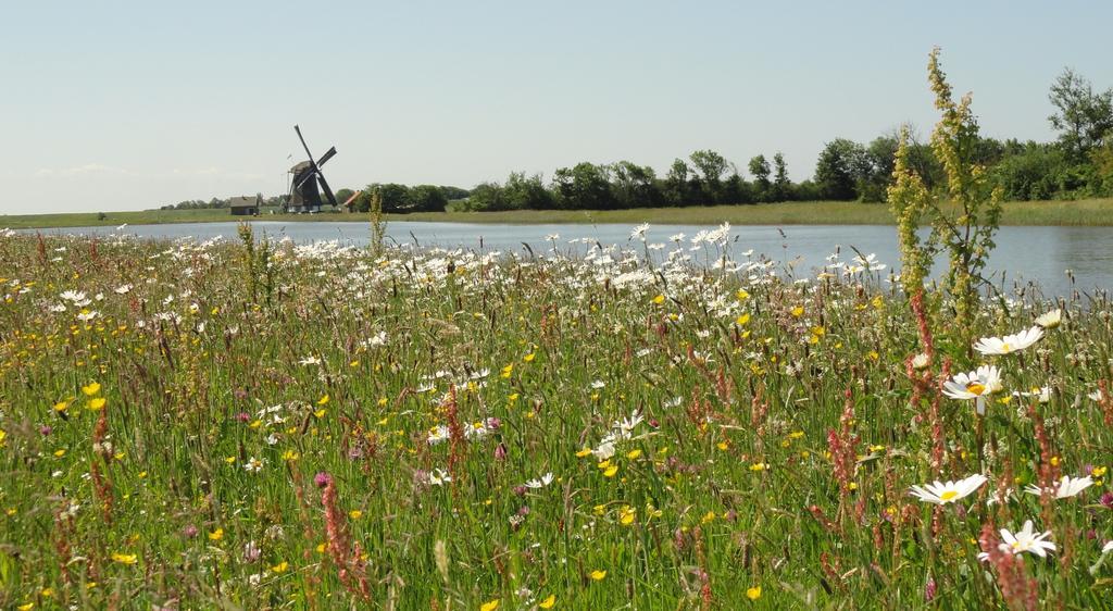 Vakantiepark Dennenoord 登堡 外观 照片